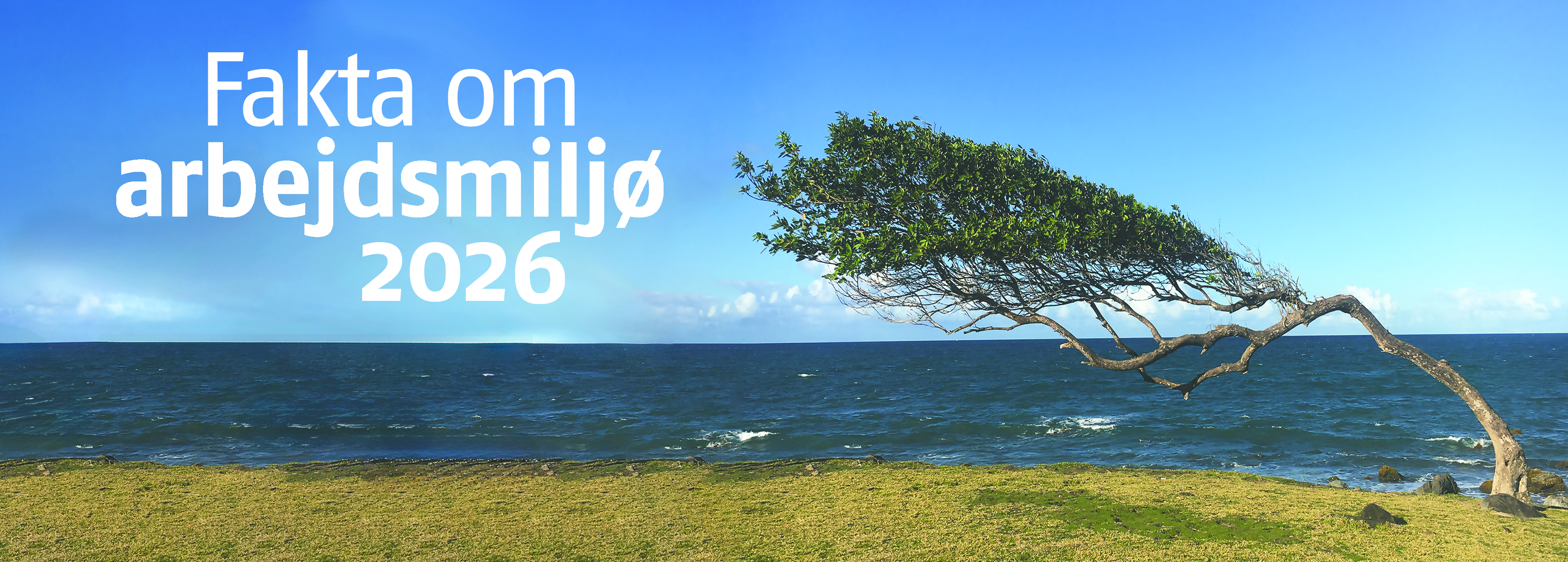 Nodvind pga. global modvind.